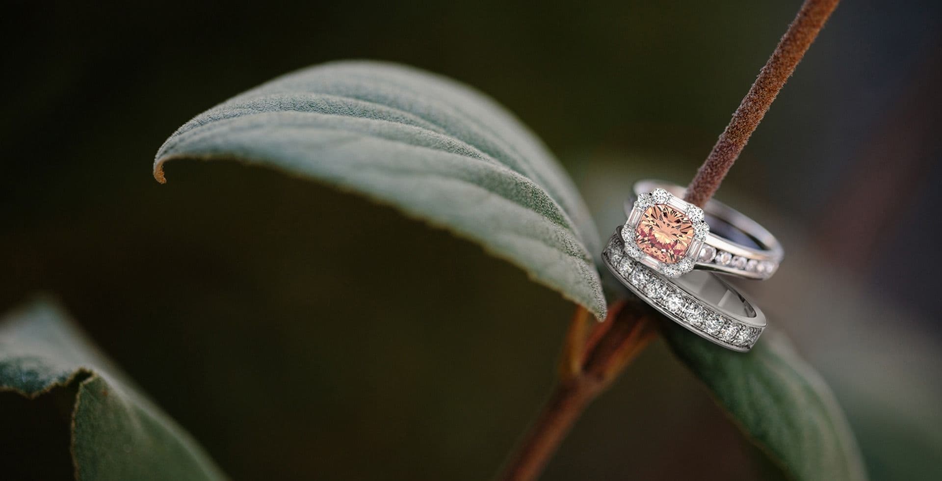 Case study image break